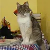 Отзыв от Алеся Козина